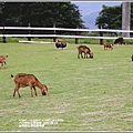 台東原生應用植物園-2020-04-20.jpg