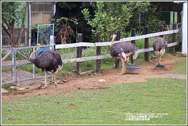 台東原生應用植物園-2020-04-21.jpg