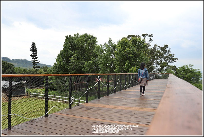 台東原生應用植物園-2020-04-30.jpg