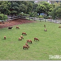 台東原生應用植物園-2020-04-32.jpg