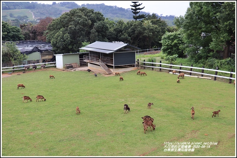 台東,台東原生應用植物園,親子牧場,卑南,親子,小百岳,步道,台東戶外休閒