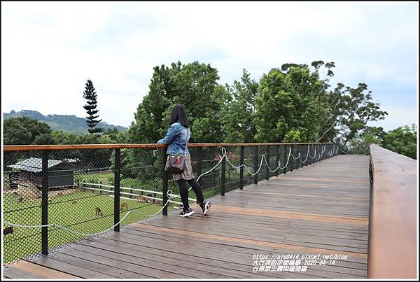 台東原生應用植物園-2020-04-39.jpg