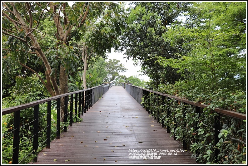 台東原生應用植物園-2020-04-50.jpg