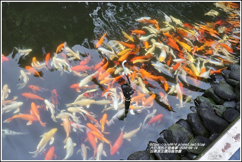 台東原生應用植物園-2020-04-57.jpg