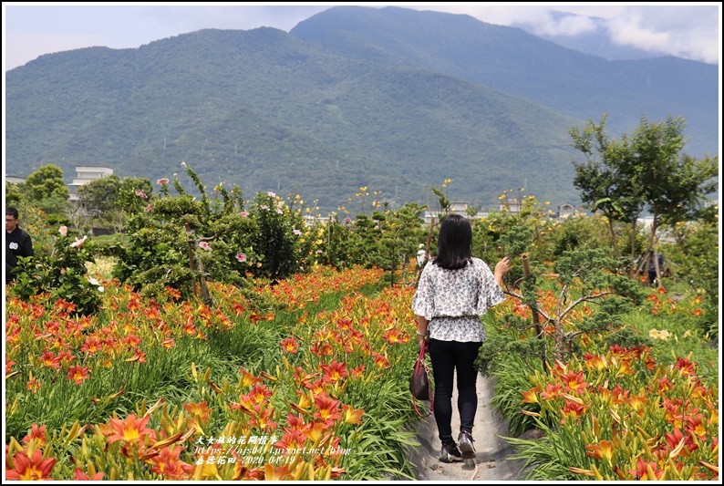 嘉德萱草花田-2020-04-57.jpg