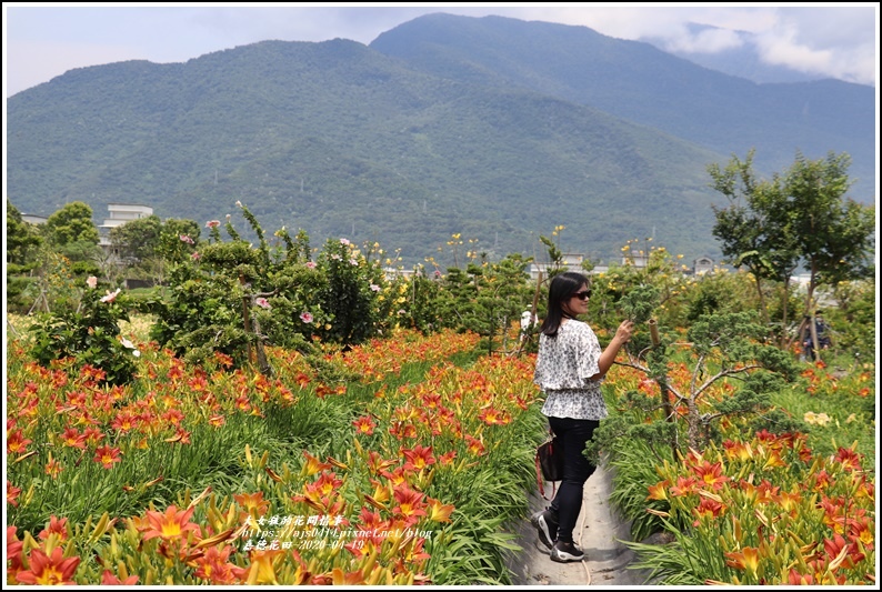 嘉德萱草花田-2020-04-58.jpg