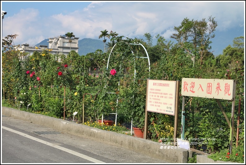 嘉德萱草花田-2020-03-18.jpg