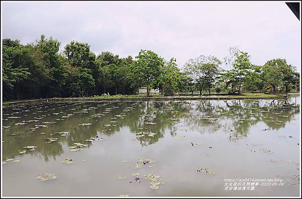 吉安蓮城蓮花園-2020-05-13.jpg