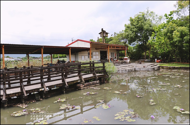 吉安蓮城蓮花園-2020-05-12.jpg