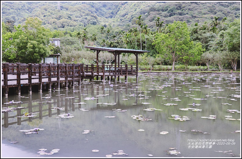 吉安蓮城蓮花園-2020-05-20.jpg