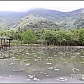 吉安蓮城蓮花園-2020-05-24.jpg