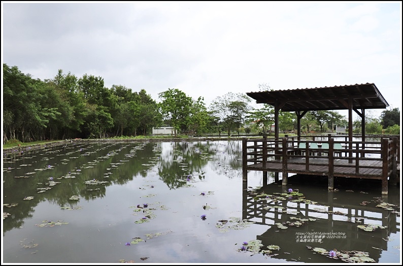 吉安蓮城蓮花園-2020-05-39.jpg