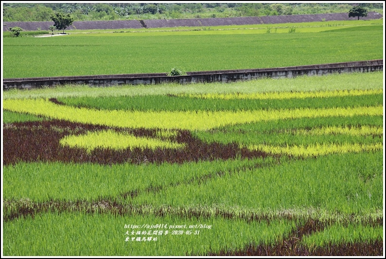 東里鐵馬驛站-2020-05-04.jpg