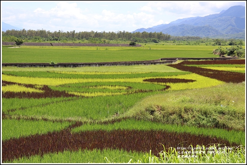 東里鐵馬驛站-2020-05-06.jpg