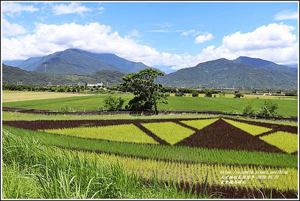 東里鐵馬驛站-2020-05-09.jpg