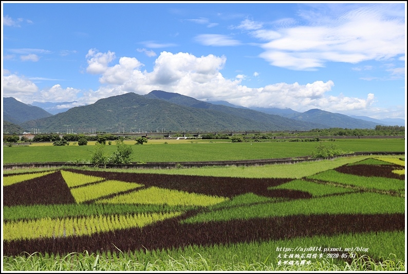 東里鐵馬驛站-2020-05-07.jpg