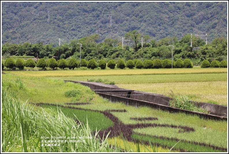 東里鐵馬驛站-2020-05-12.jpg