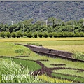 東里鐵馬驛站-2020-05-12.jpg