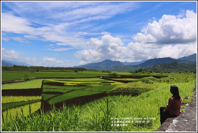 東里鐵馬驛站-2020-05-13.jpg