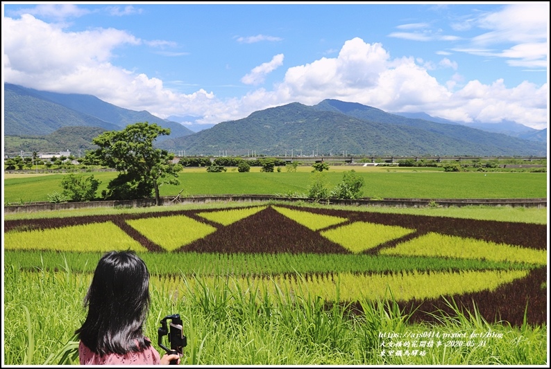 東里鐵馬驛站-2020-05-14.jpg