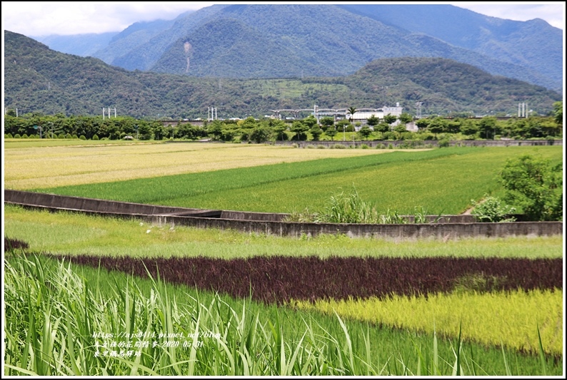 東里鐵馬驛站-2020-05-11.jpg