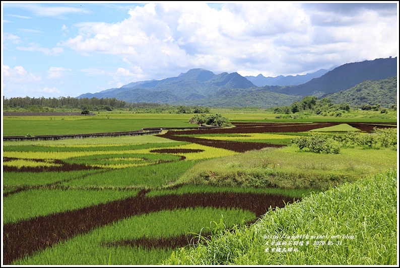 東里鐵馬驛站-2020-05-23.jpg