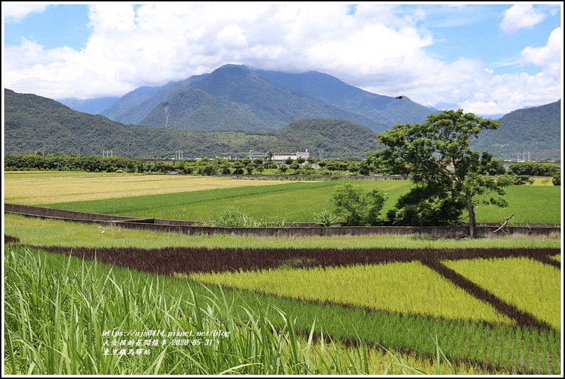 東里鐵馬驛站-2020-05-25.jpg