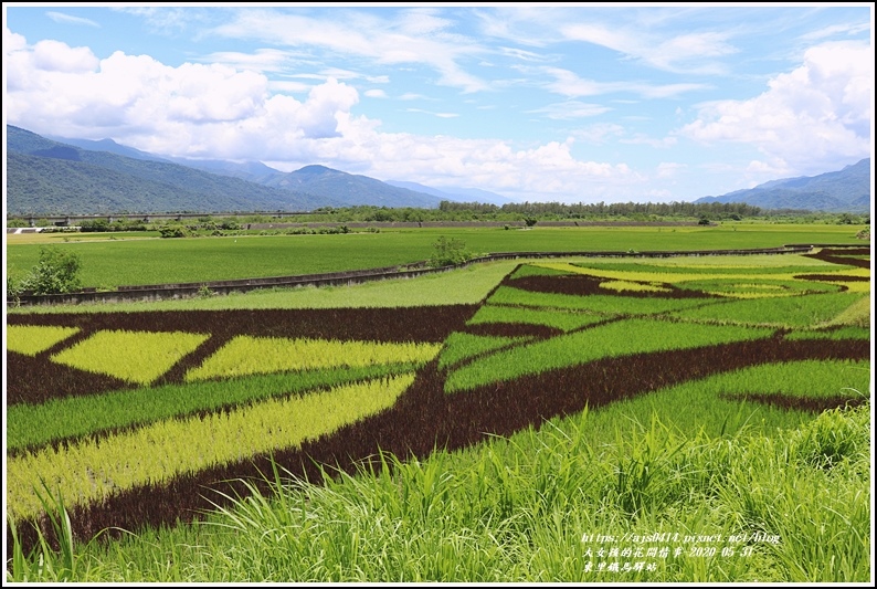 東里鐵馬驛站-2020-05-24.jpg