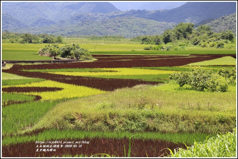 東里鐵馬驛站-2020-05-27.jpg