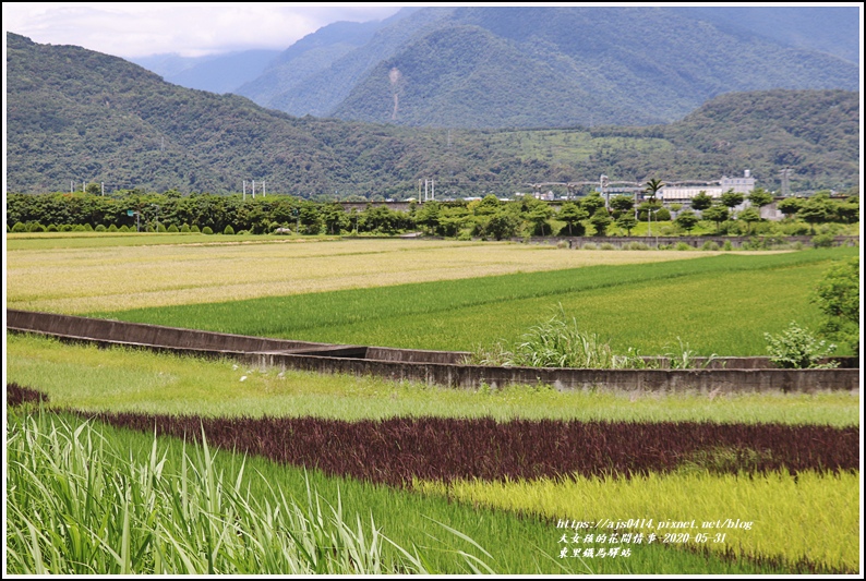 東里鐵馬驛站-2020-05-28.jpg