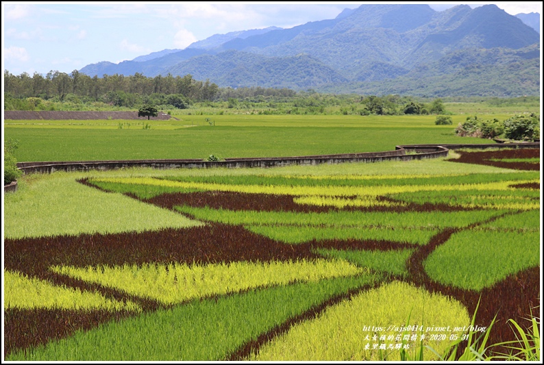 東里鐵馬驛站-2020-05-29.jpg