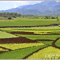 東里鐵馬驛站-2020-05-29.jpg