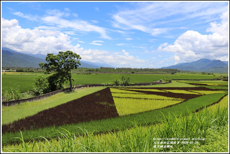 東里鐵馬驛站-2020-05-30.jpg