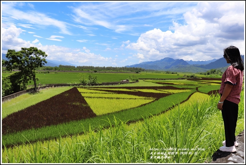 東里鐵馬驛站-2020-05-31.jpg