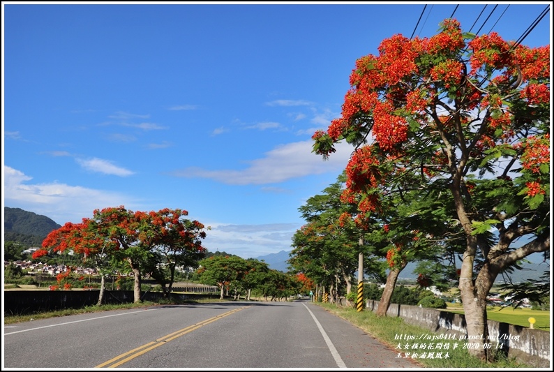 松浦泰林大橋鳳凰木(花蓮193)-2020-06-39.jpg