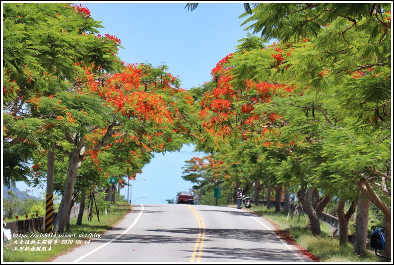 松浦泰林大橋鳳凰木(花蓮193)-2020-06-36.jpg 松浦泰林大橋鳳凰木(花蓮193)-2020-06-36.jpg