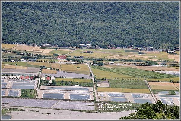 赤柯山產業道路-2020-06-20.jpg