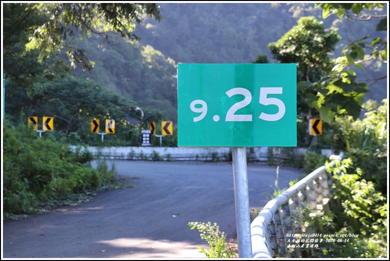 赤柯山產業道路-2020-06-25.jpg