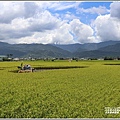 玉里客城鐵橋-2020-06-03.jpg