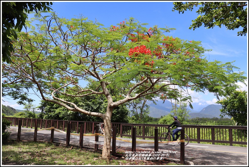 安通鐵口站(玉富自行車道)-2020-06-02.jpg