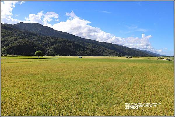 卓富公路之美-2020-06-06.jpg