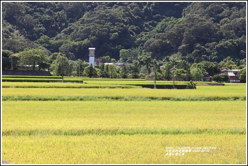 卓富公路之美-2020-06-07.jpg