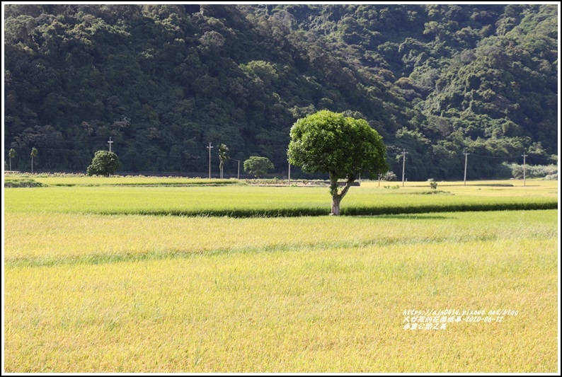 卓富公路之美-2020-06-09.jpg