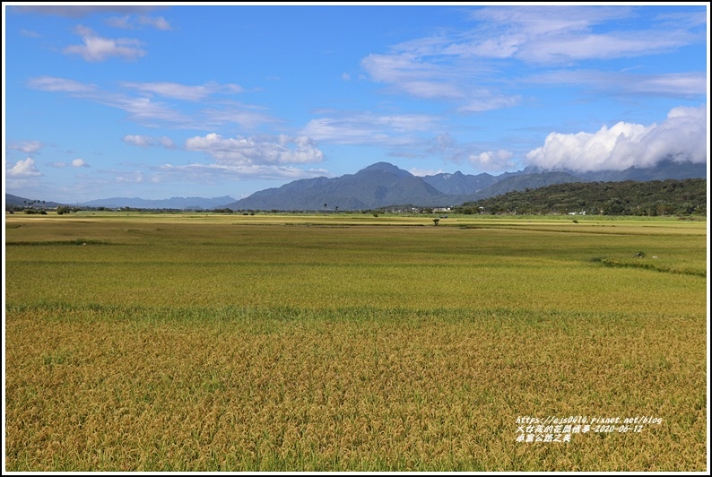 卓富公路之美-2020-06-30.jpg