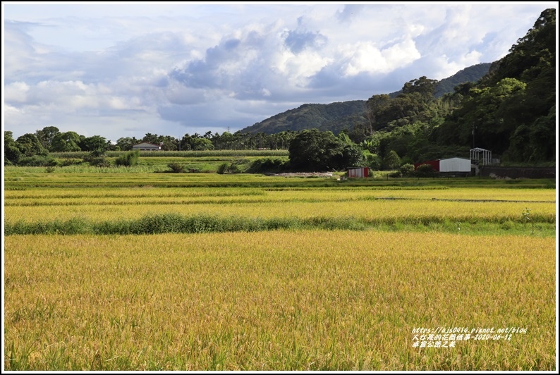 卓富公路之美-2020-06-38.jpg