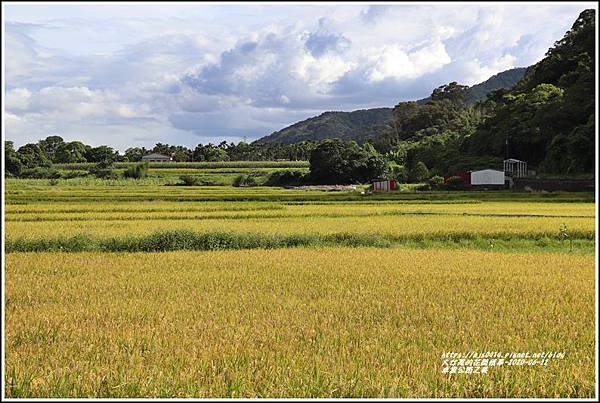 卓富公路之美-2020-06-38.jpg