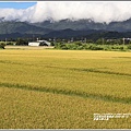 卓富公路之美-2020-06-46.jpg