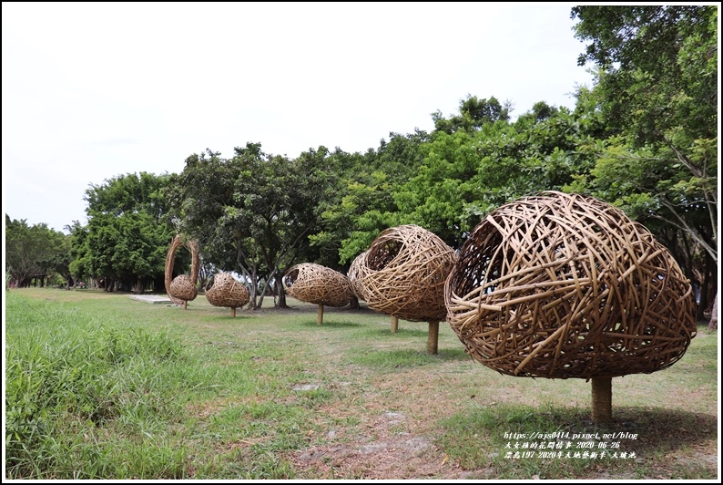 漂鳥197-2020年大地藝術季(大坡池)-2020-06-18.jpg