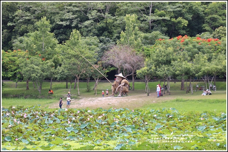 漂鳥197-2020年大地藝術季(大坡池)-2020-06-36.jpg