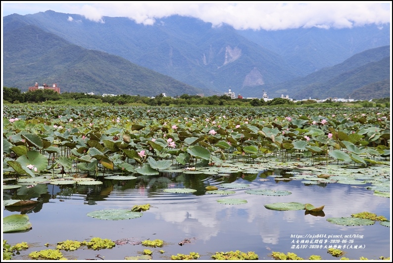 漂鳥197-2020年大地藝術季(大坡池)-2020-06-41.jpg